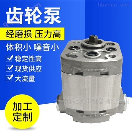 CB-E1.5ST微型液压耐磨高压 双向齿轮泵