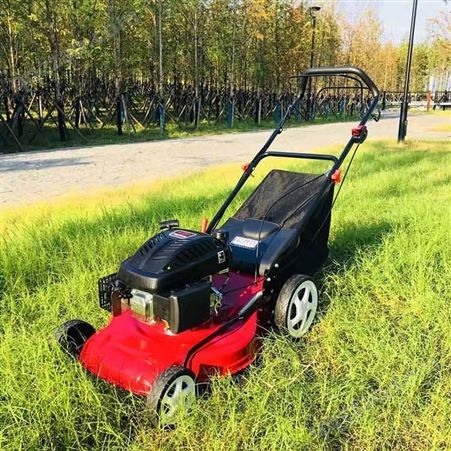 立安GXV160汽油机草坪机 销售手推式草坪机