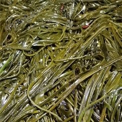 天津海带丝 海带丝加工 整箱海带丝 长期供应