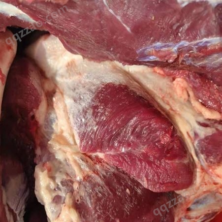 新鲜驴肉出售 茂隆特色驴肉市场价格