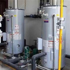 美鹰燃气热水炉 D系列进口容积式热水器 厂家代理