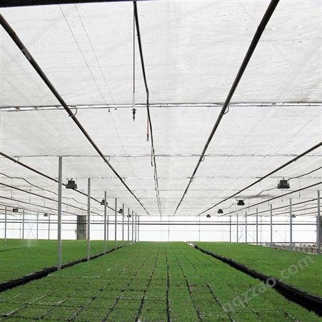 伟彩 农用盖土遮光网 蔬菜大棚遮阳网生产商