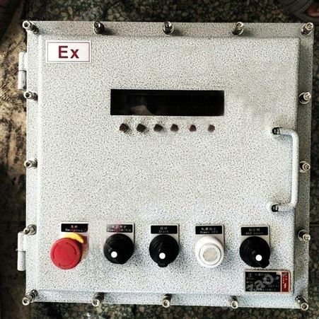 本高防爆称重仪表箱不锈钢温控箱带显示屏控制箱BXK-A-D定制
