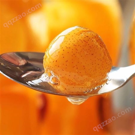 山楂罐头 橘子罐头 椰果罐头_生产销售基地