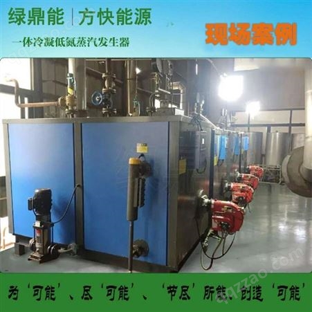 养殖厂用0.5吨冷凝低氮蒸汽发生器免监检节能高效燃气蒸汽发生器