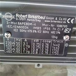 Robert Birkenbeul三相电机 6APE100L
