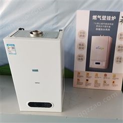 推荐未蓝 燃气热水炉LN1GBQ95-WLHB批发价格