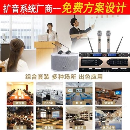 帝琪无线胸麦话筒产品多媒体会议系统配置清单一拖二无线领夹话筒DI-3800